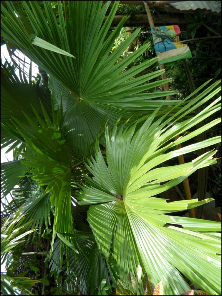 photo10 (6)